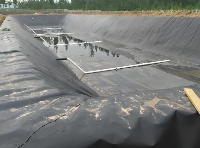 養殖場使用黑膜沼氣池處理污水的說明介紹
